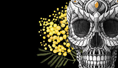 Festa Donna Coca Brut