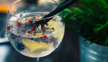 Qual'è la nazione che beve più gin?